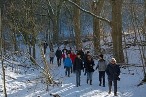 Grünkohlwanderung bei bestem Winterwetter im Januar 2017